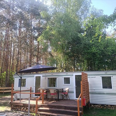 Tinyhaus Idyllisch Am Waldesrand Hotel Cottbus Bagian luar foto