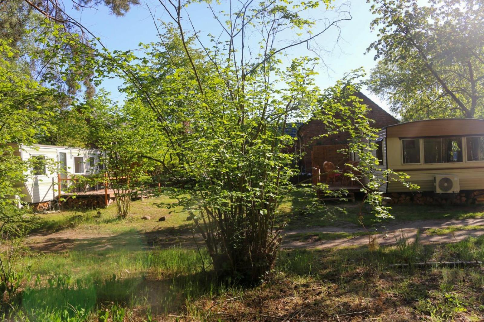 Tinyhaus Idyllisch Am Waldesrand Hotel Cottbus Bagian luar foto